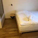 Szálloda Wolf Prága