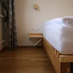Wolf Szálloda 3*